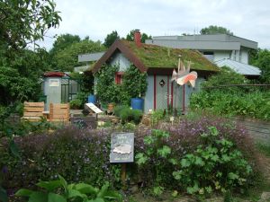 Garten-1
